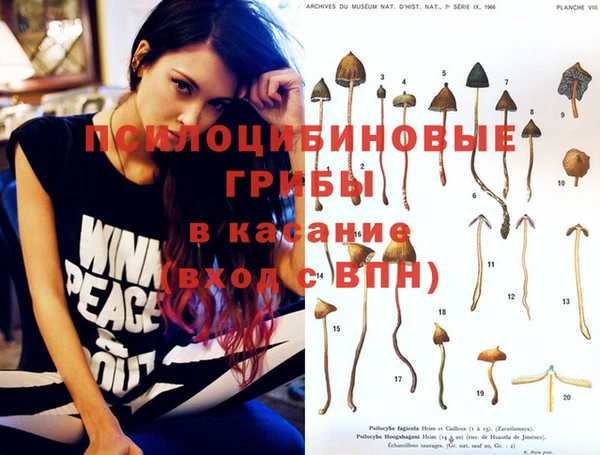 прущий лед Козельск