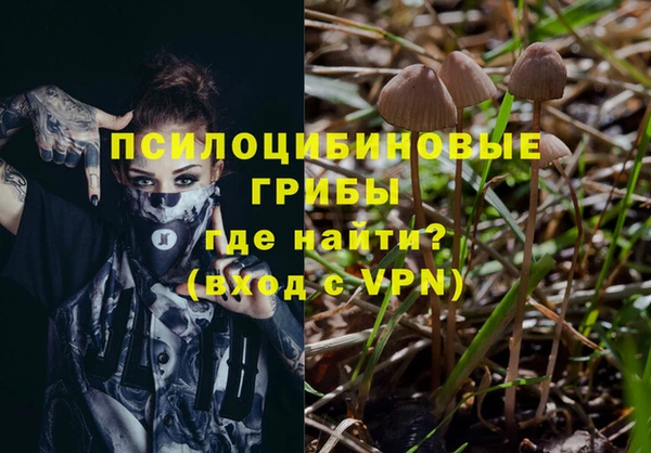 прущий лед Козельск